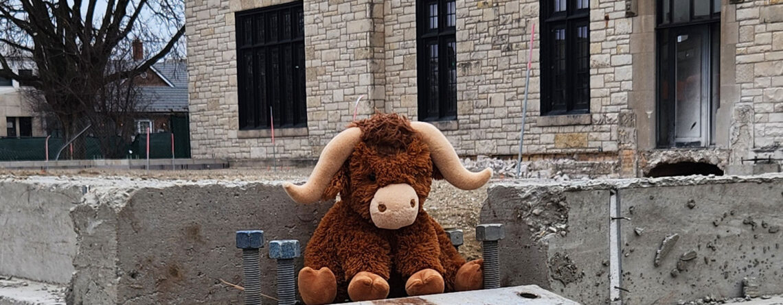 The stuffed expansion mascot Parker the Highland Cow oversees the completed footings.